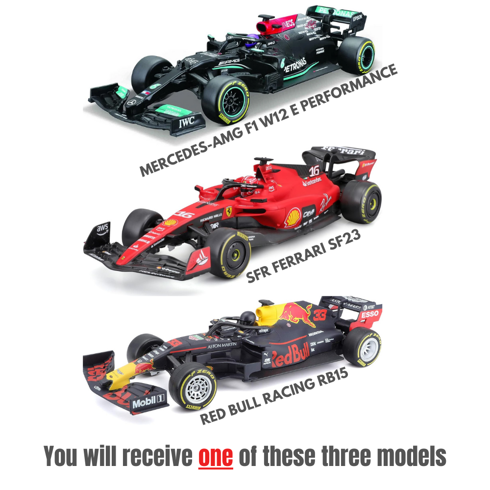 Maisto Racing Remote Control Vehicle 1:24 Scale Assortment Notes